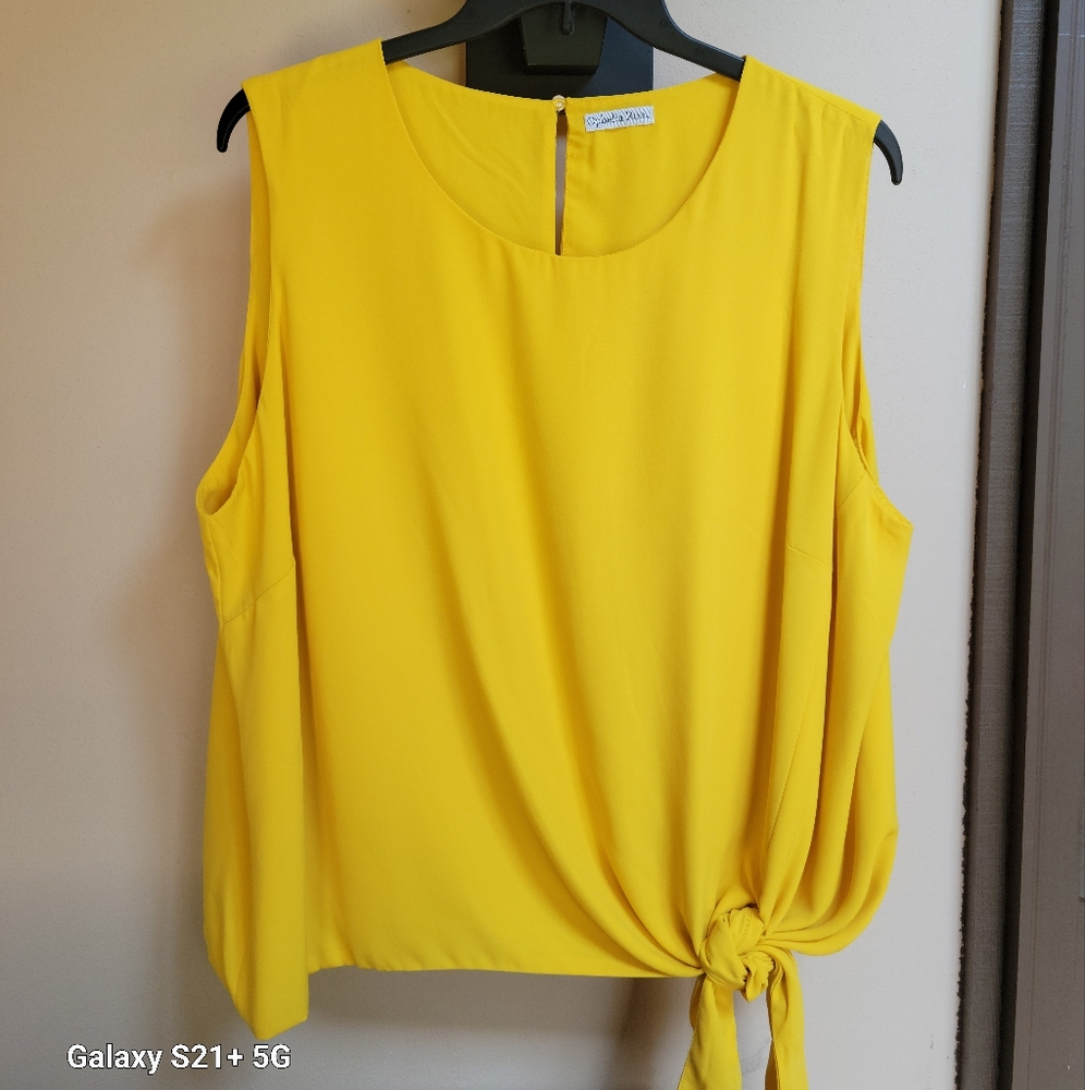 🔥SALE🔥 NWOT Ophelia Roe Sleeveless Side Tie Top
